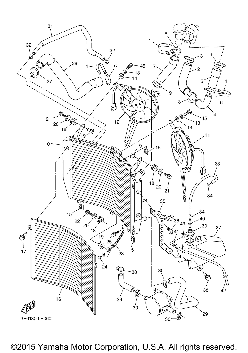 Radiator hose