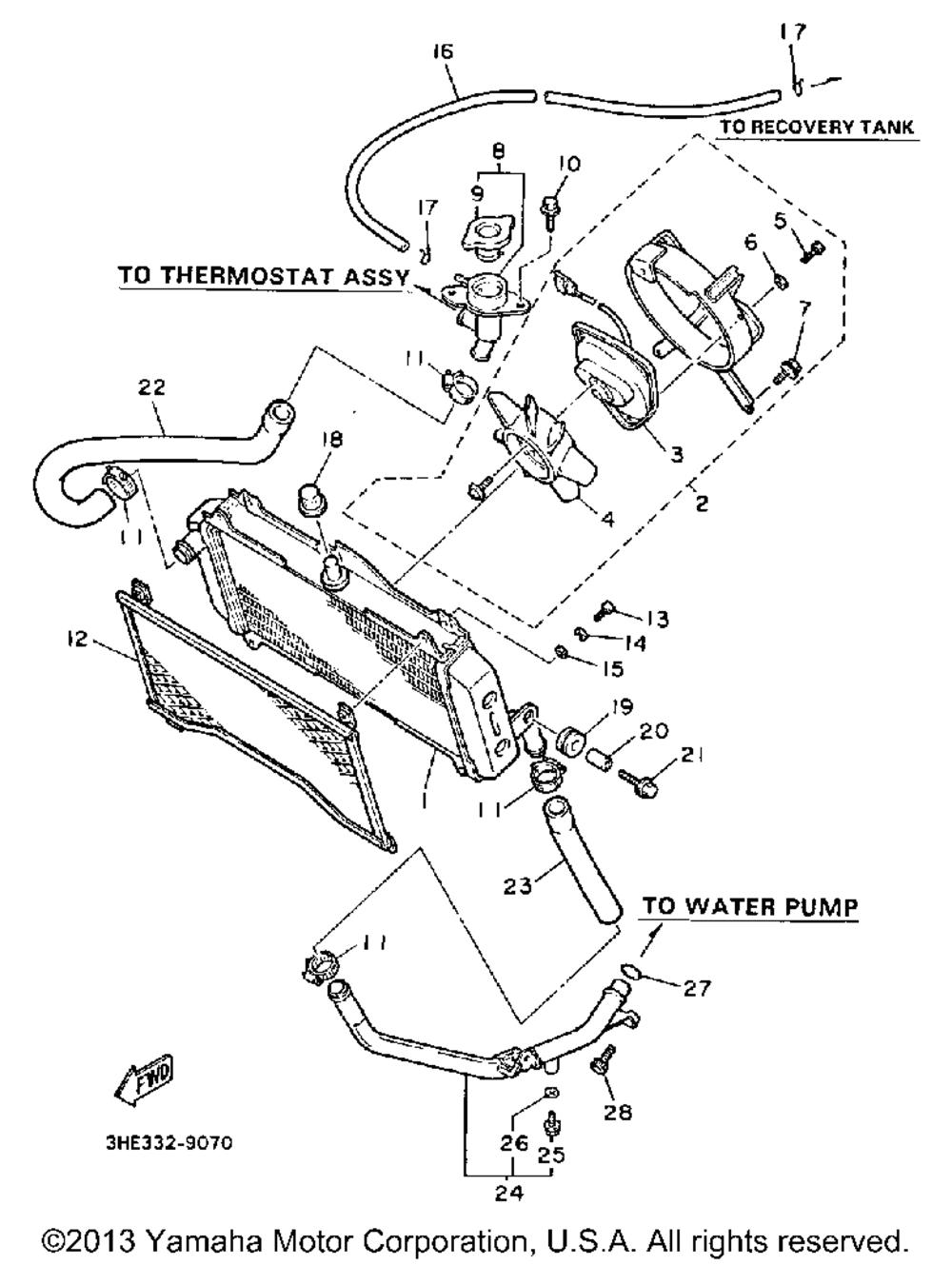 Radiator hose