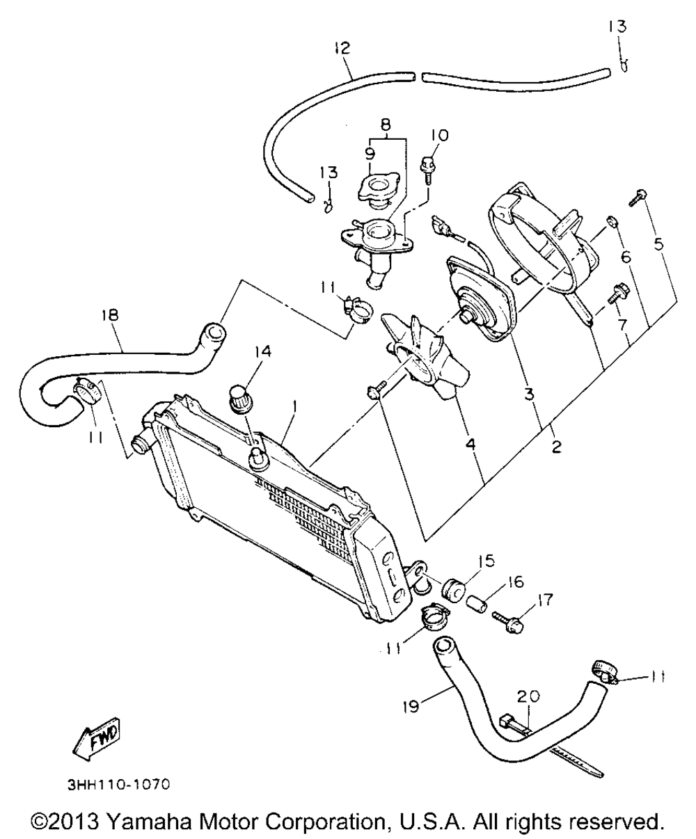 Radiator hose