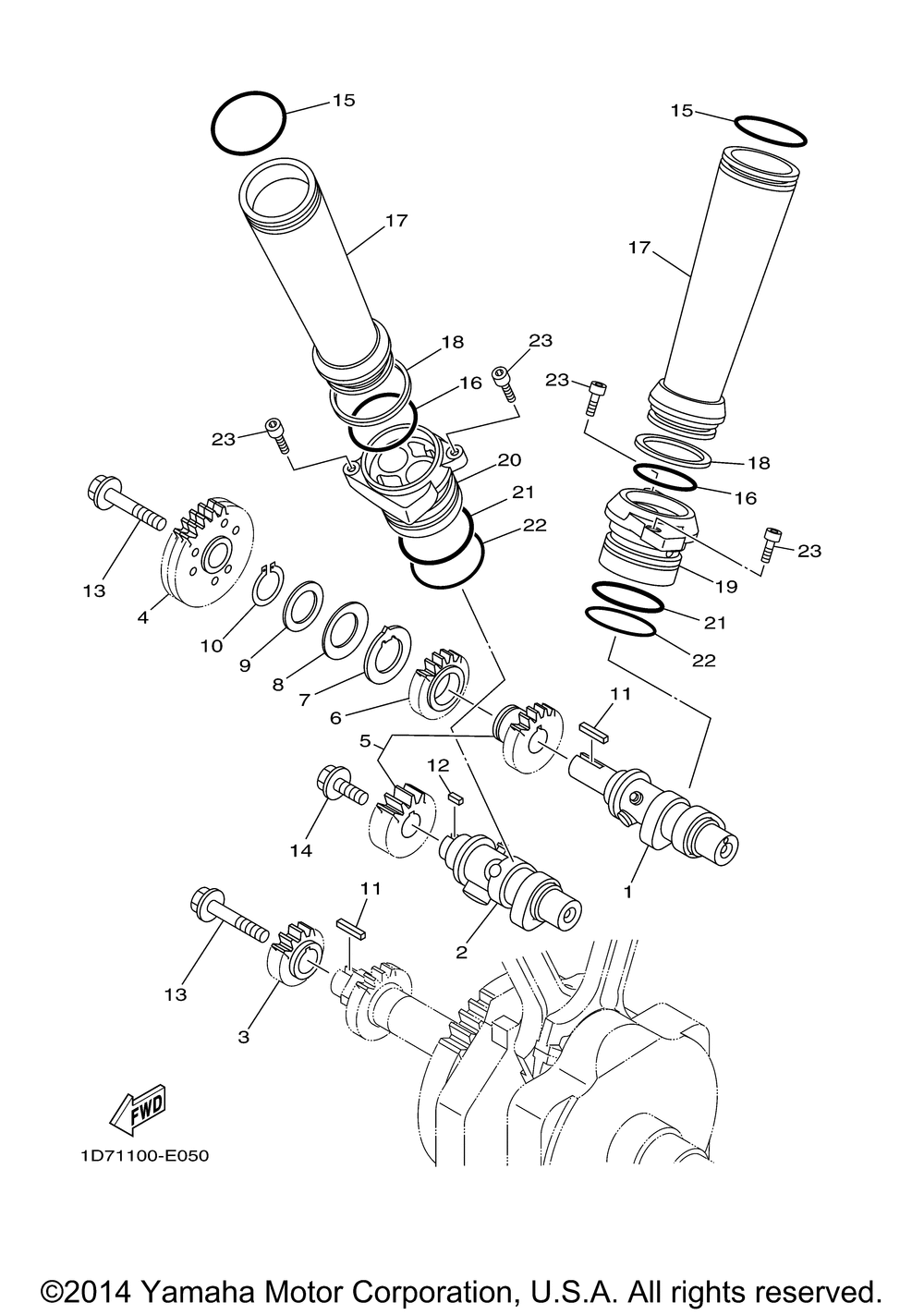 Camshaft chain