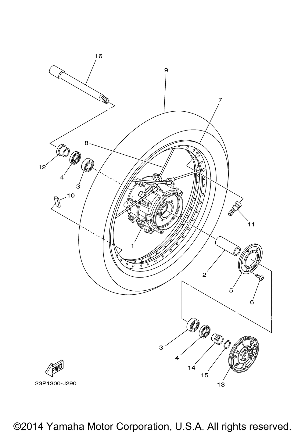 Front wheel