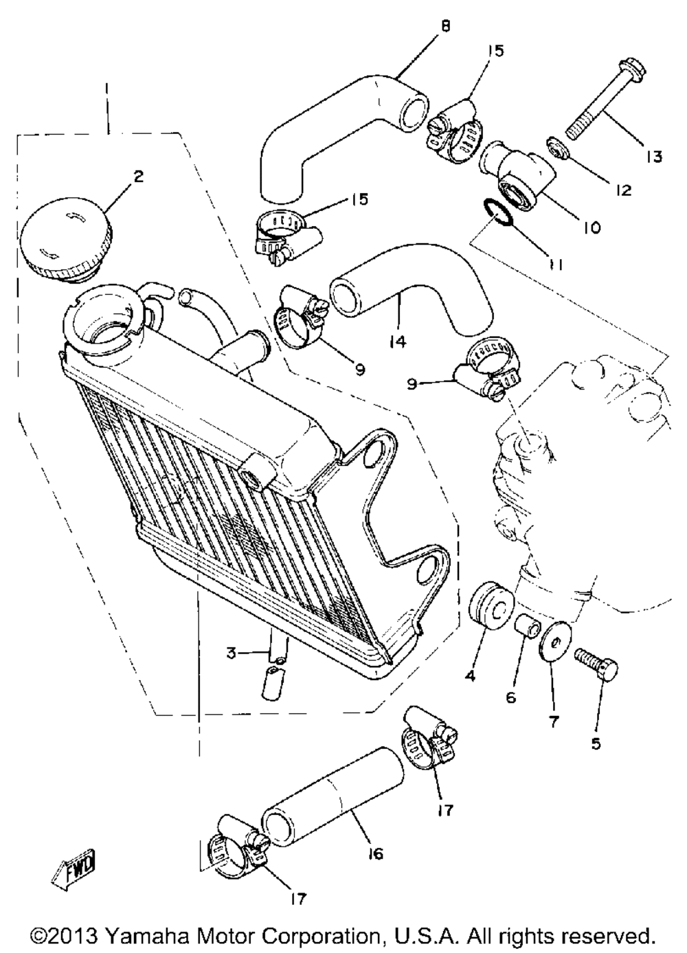 Radiator - hose