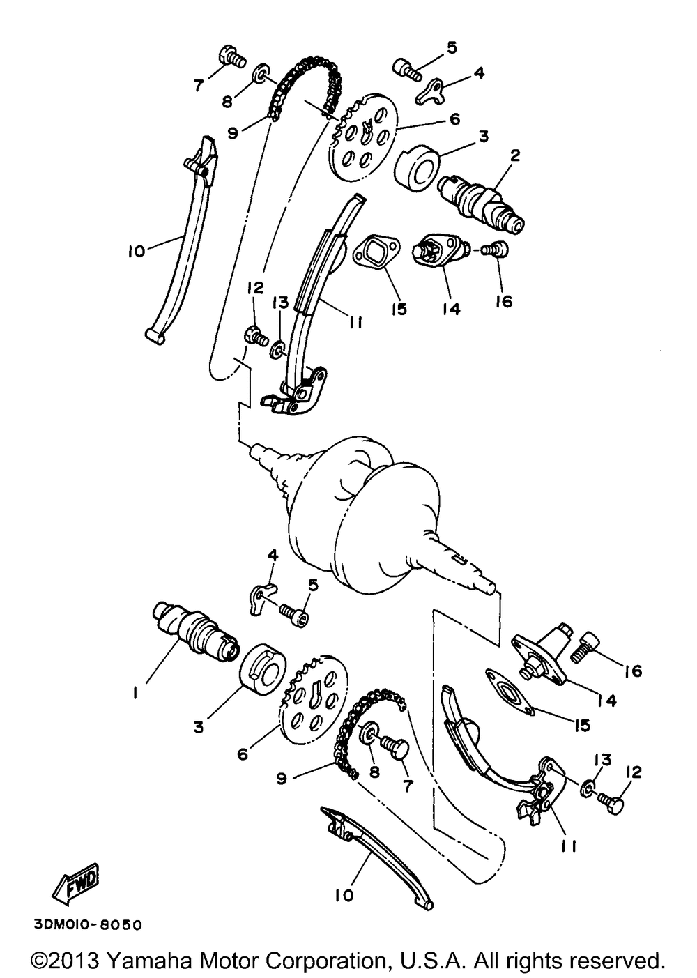 Camshaft chain