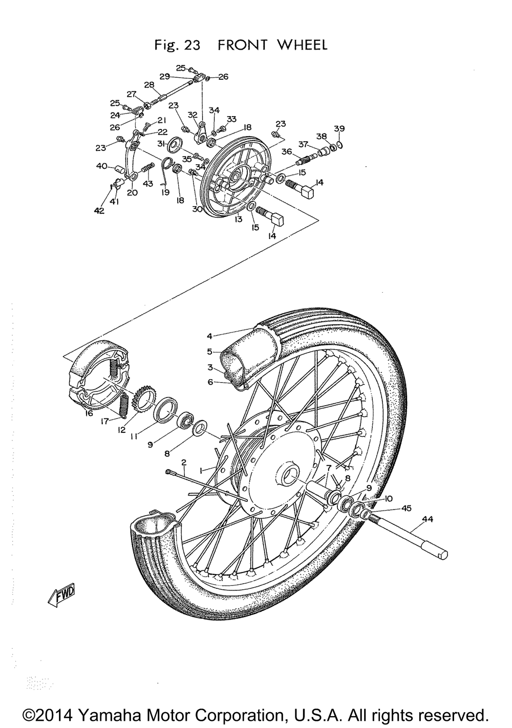 Front wheel