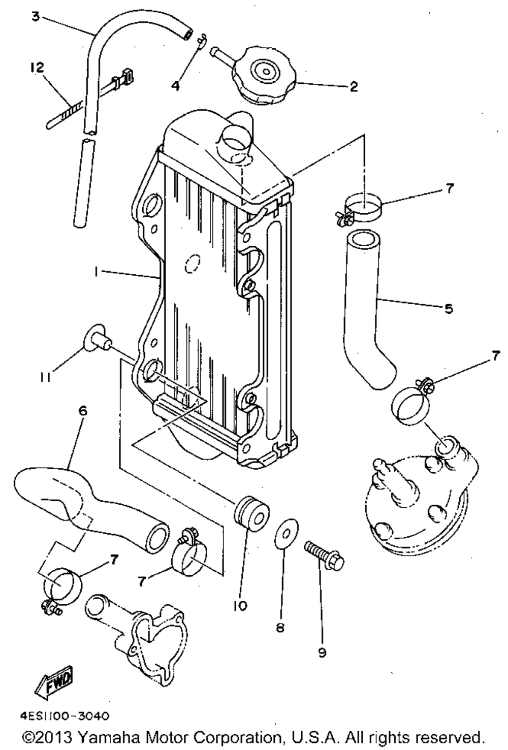 Radiator - hose