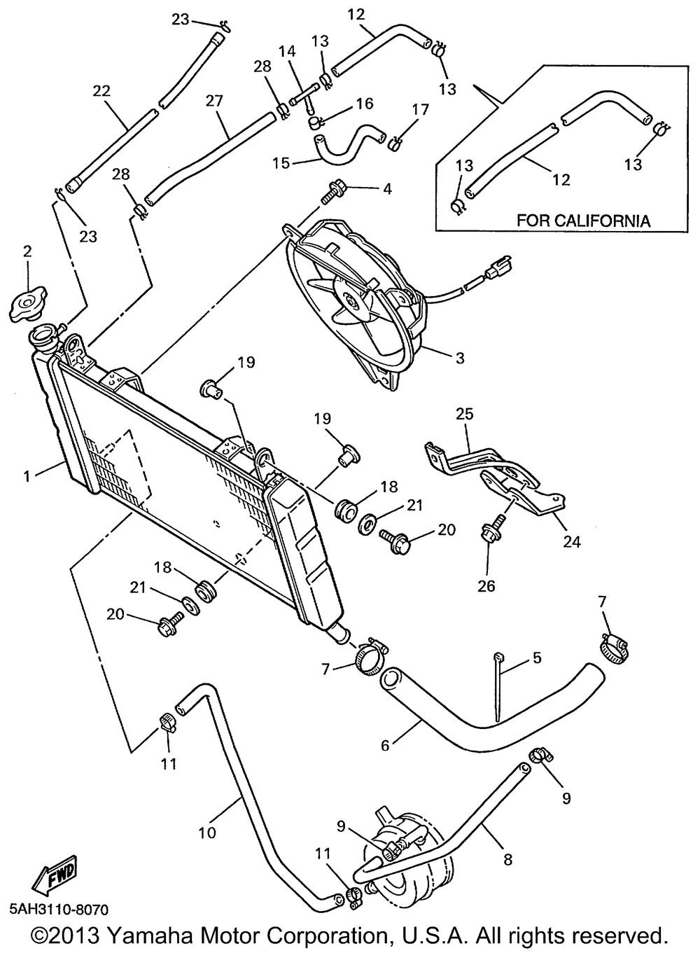 Radiator hose