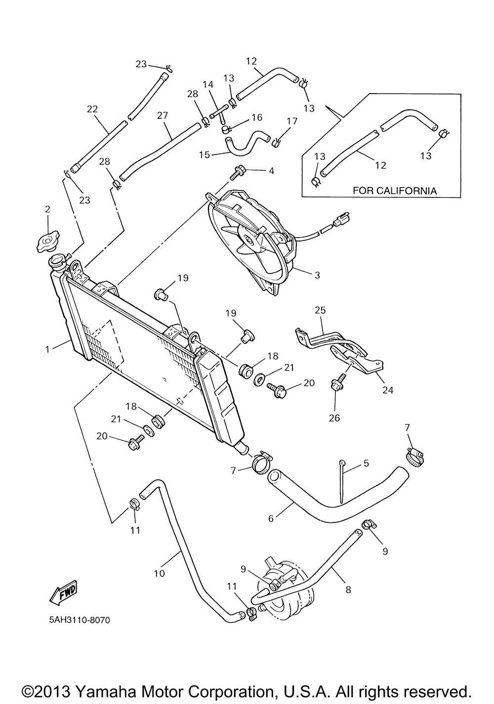 Radiator hose