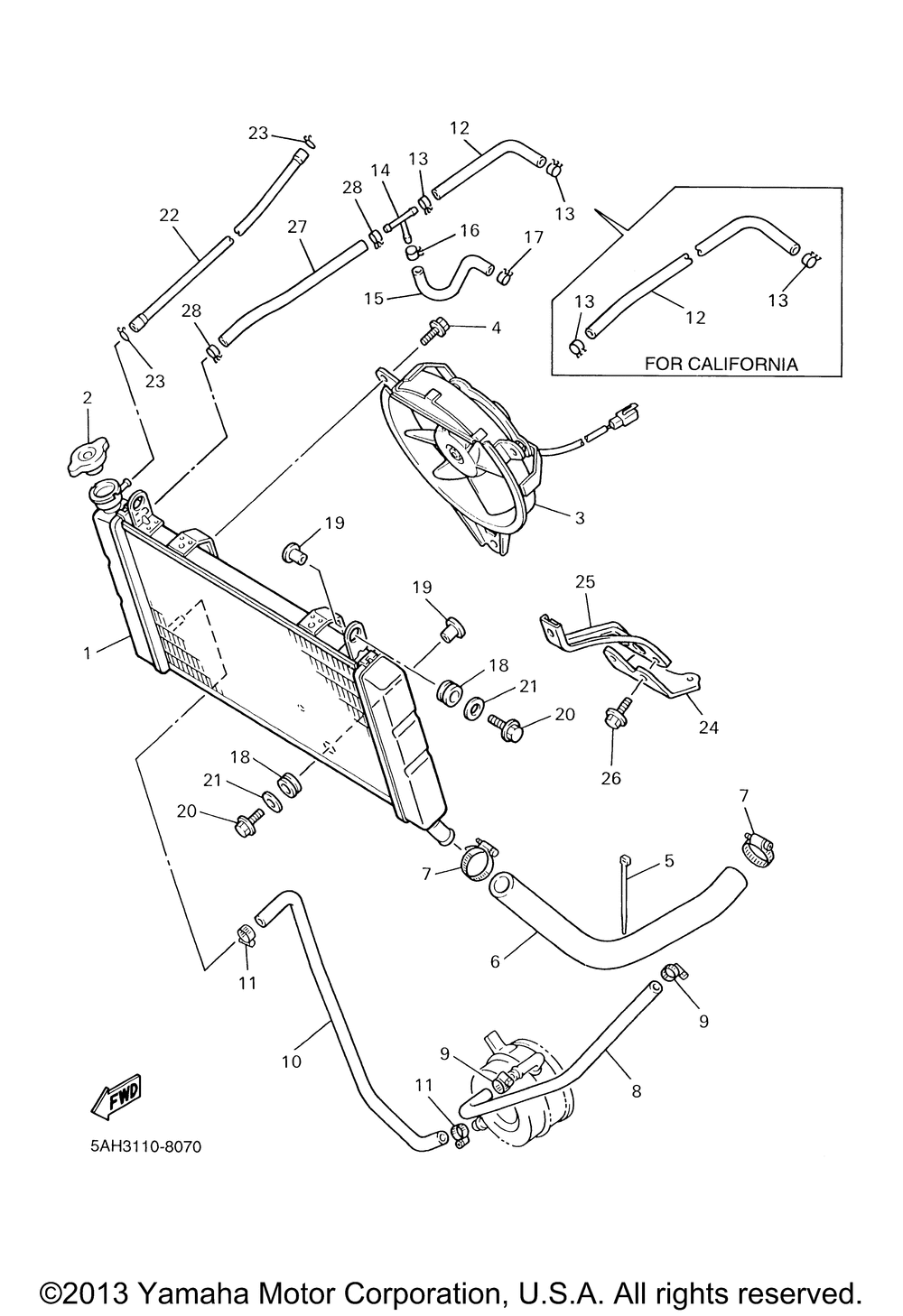 Radiator hose