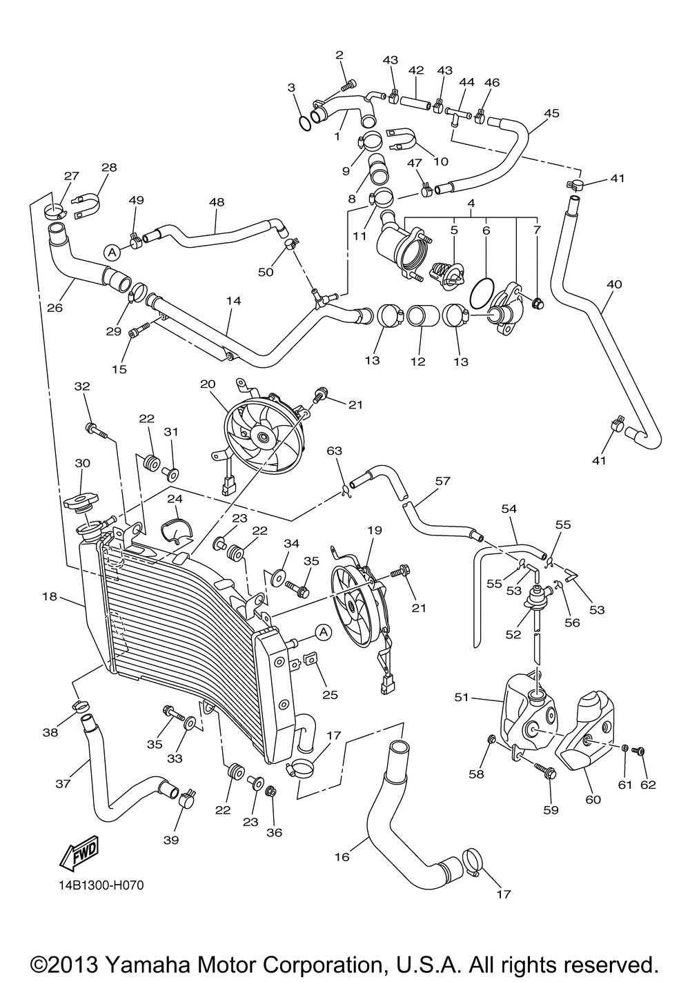 Radiator hose