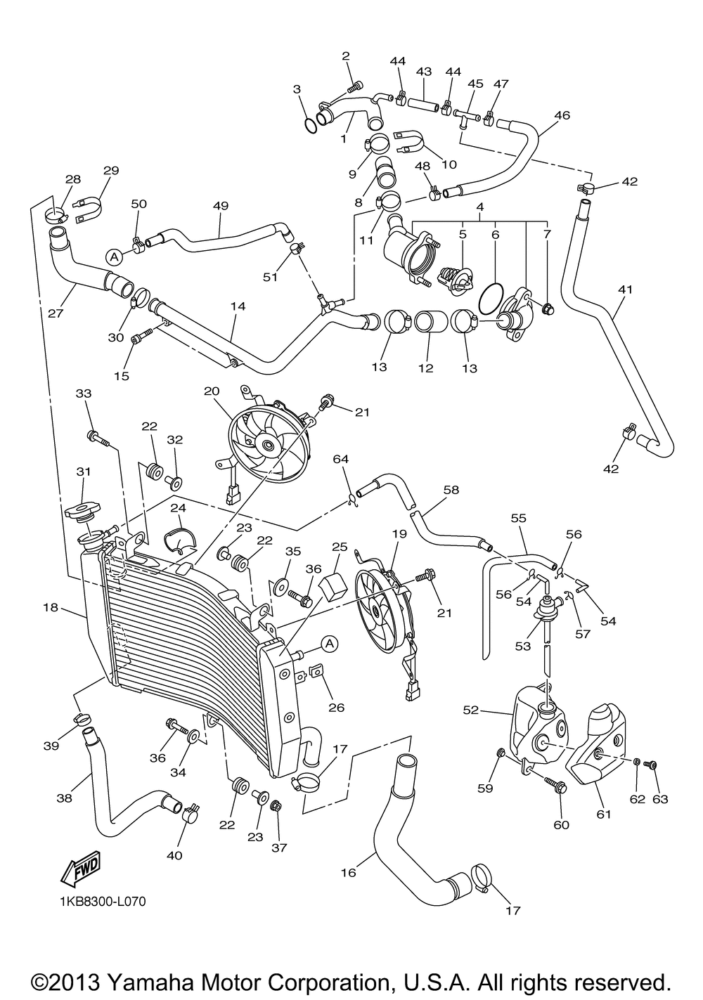 Radiator hose