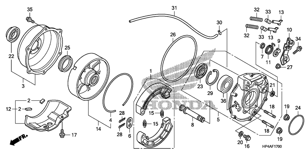 Rear brake panel