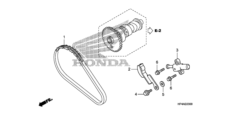 Cam chain & tensioner