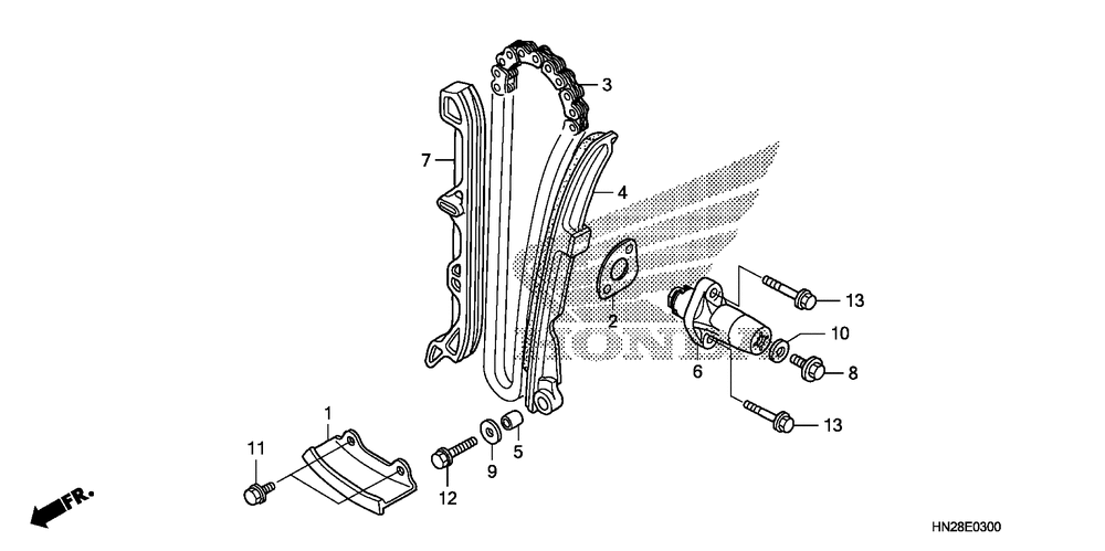 Cam chain & tensioner