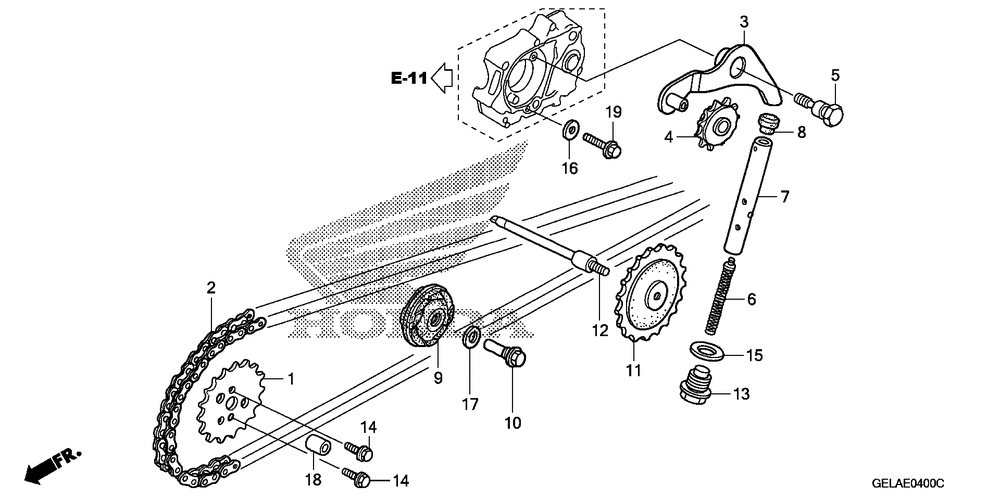 Cam chain & tensioner