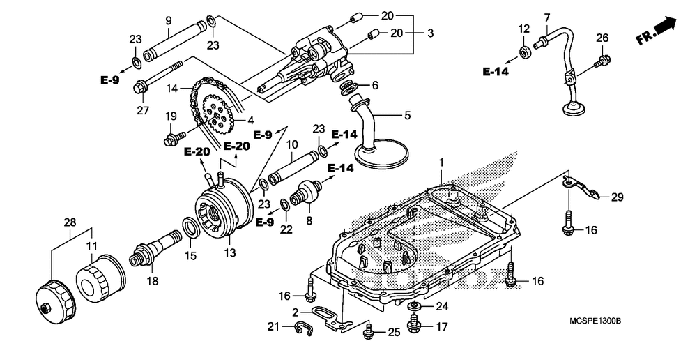 Oil pump & oil pan