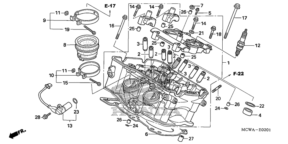 Cylinder head (rr.)