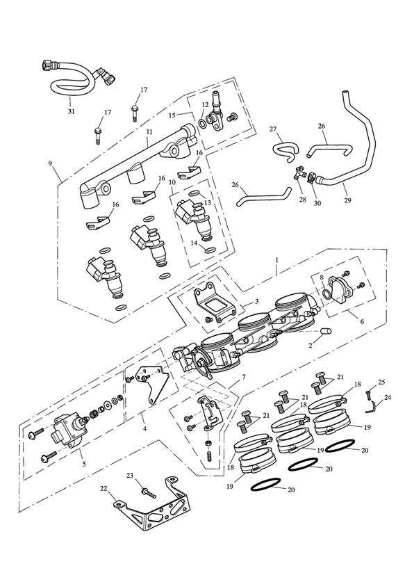 Throttles, injectors and fuel rail