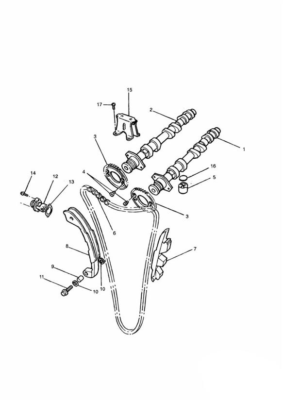 Camshaft and drive